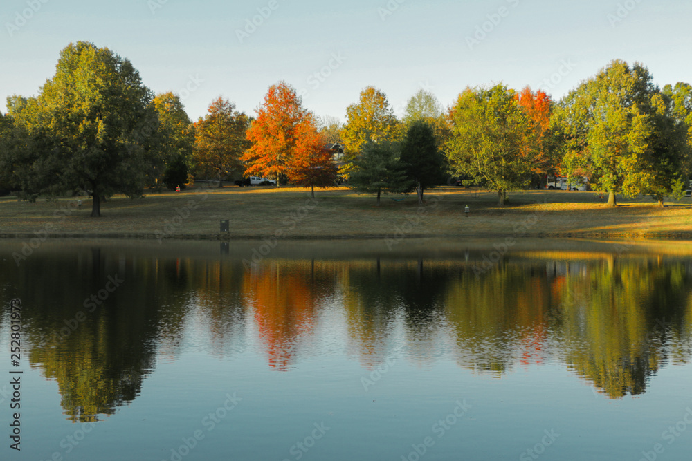 Fototapeta premium autumn in the park