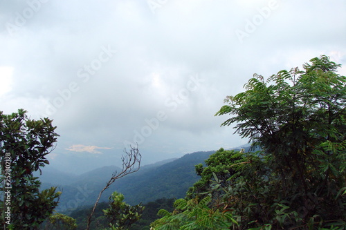 The landscape from the thicket of the mountain jungles of the cloudy rainy sky above the blue mountain ranges on the horizon. © Hennadii