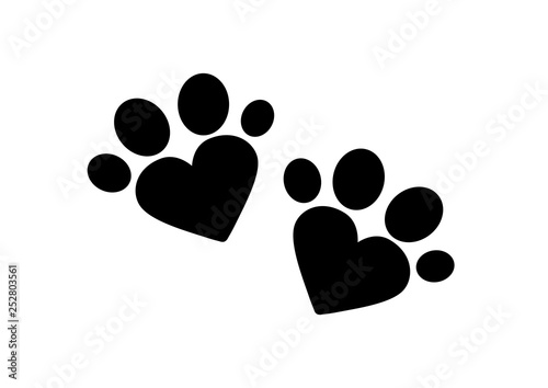 A pair of traces from the paws (imprint) of a wild animal.