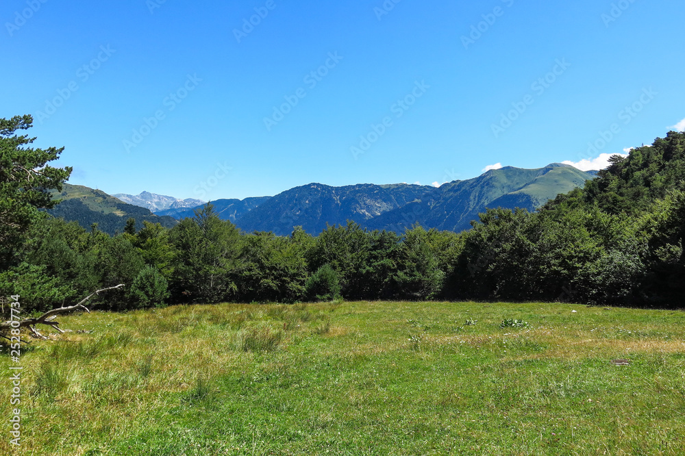 Obraz premium Aran valley in the Catalan Pyrenees, Spain