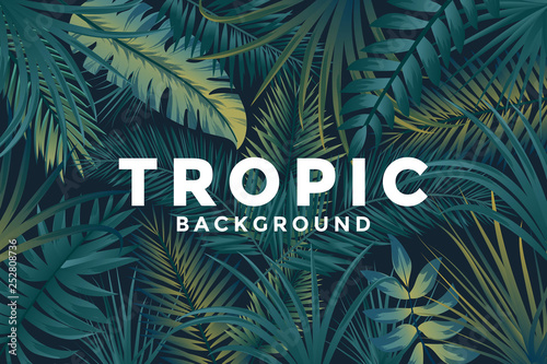 Tropical background with jungle plants. Trendy background with tropic leaves, can be used as Exotic wallpaper, Greeting card, poster, placard. Vector Illustration