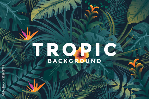 Tropical background with jungle plants. Trendy background with tropic leaves, can be used as Exotic wallpaper, Greeting card, poster, placard. Vector Illustration