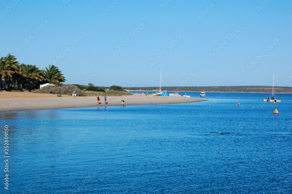 Tropical beach in Australia on a cloudless sunny day Tropical beach in Australia on a cloudless sunny day