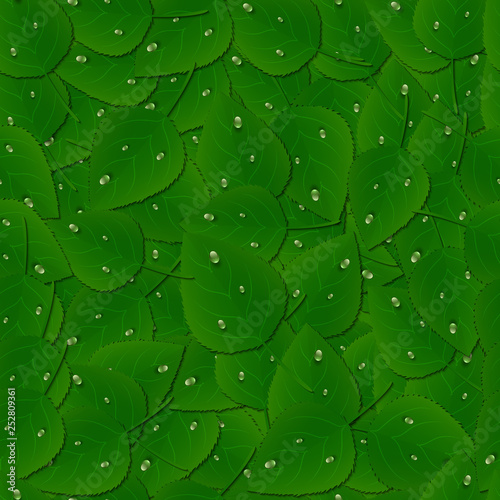 Seamless pattern background with green leaves and dew drops.