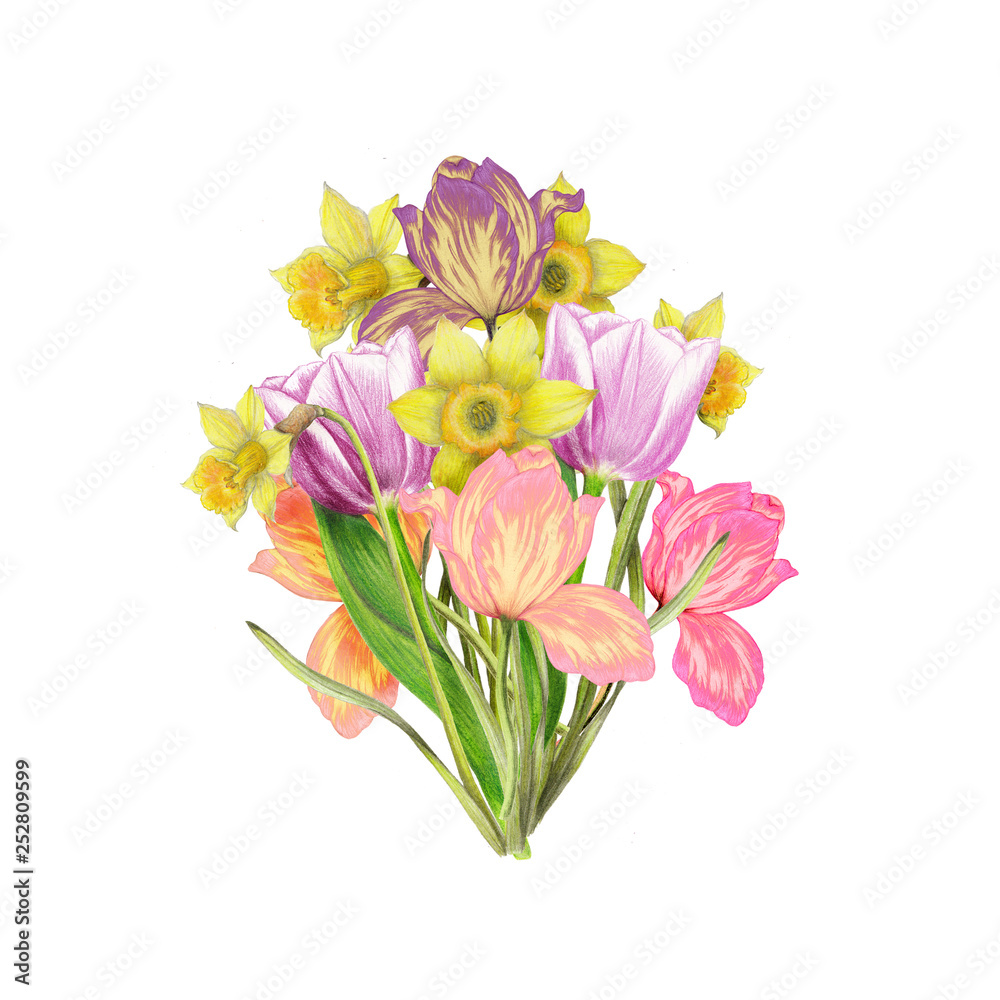Hand drawn bouquet of narcissus,tulips Hand drawn bouquet of narcissus,tulips