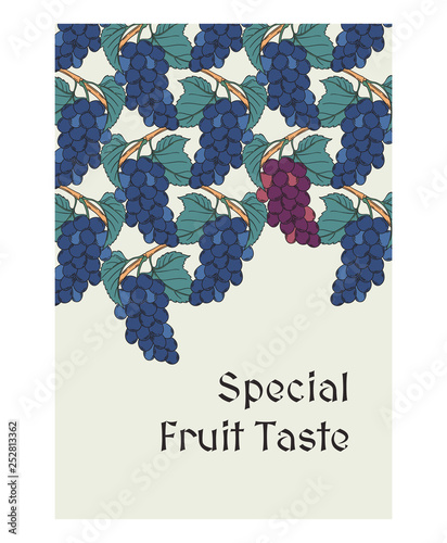 Art-nouveau blue muscat grapes background