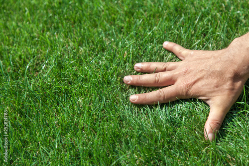 Hand on green grass © glebchik
