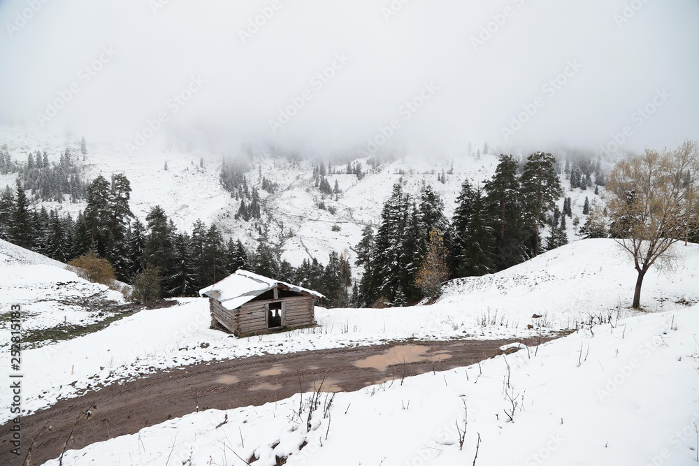 Fototapeta premium amazing village landscapes and wooden houses.savsat/artvin/turkey