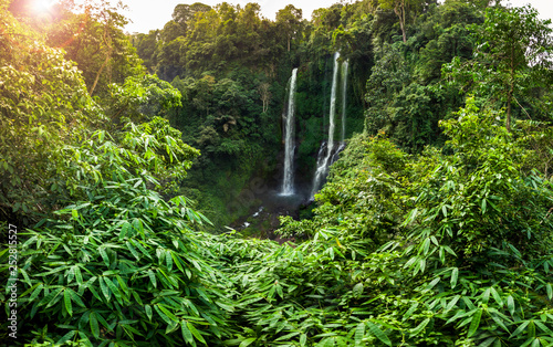 Fototapeta Naklejka Na Ścianę i Meble -  Aerial over Sekumpul waterfall surrounded by dense rainforest and mountains shrouded in mist at sunrise, Bali, Indonesia