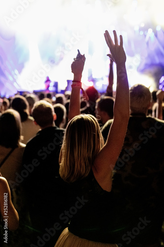 Rear view of crowd having fun at music festival. © Drazen