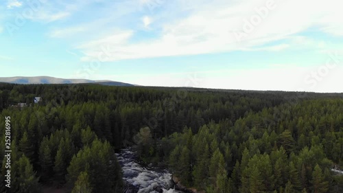 Flying over the turbulent mountain river. It flows in the forest on the background of the mountain. The river forks.