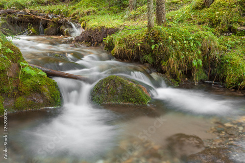 A stream flows inside the woods in Alto Adige