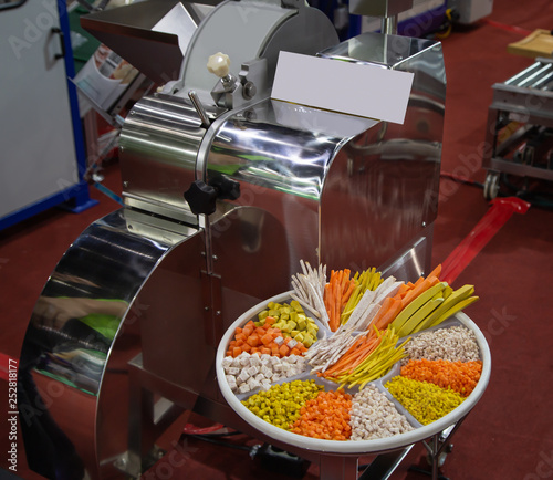 Fruit vegetable dicing machine for commercial food industry