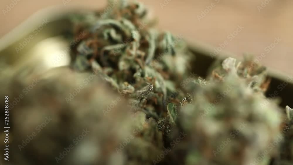cannabis business concept. Medical Marijuana cannabis business concept. Medical Marijuana