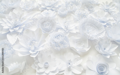 White paper flowers on white background. Floral © EkaterinaVladimirova