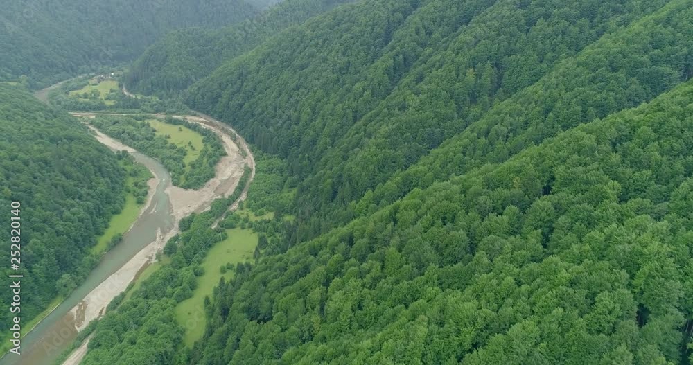 Aerial view: Flying over the Transcarpathian forests that are on the verge of destruction due to excessive logging Aerial view: Flying over the Transcarpathian forests that are on the verge of destruction due to excessive logging