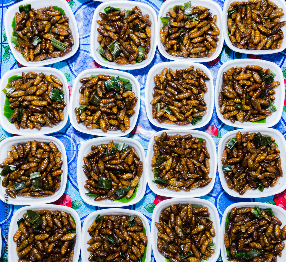 Fried silkworm pupa in package selling at street market Fried silkworm pupa in package selling at street market