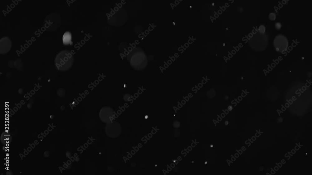 Natural Organic Dust Particles Floating On Black Background. Dynamic Dust Particles Randomly Float In Space With Fast And Slow Motion. Shimmering Glittering White Particles With Bokeh In The Air. Natural Organic Dust Particles Floating On Black Background. Dynamic Dust Particles Randomly Float In Space With Fast And Slow Motion. Shimmering Glittering White Particles With Bokeh In The Air.