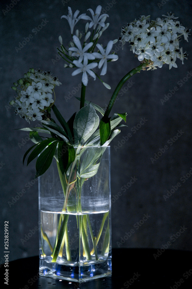 Obraz premium Passionsblume in einer Vase