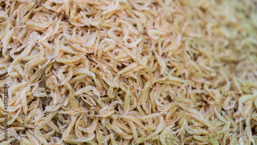 Different kinds of dried seafood fish ,dry squids or calamaries and dry shrimps at market in Viietnam Different kinds of dried seafood fish ,dry squids or calamaries and dry shrimps at market in Viietnam