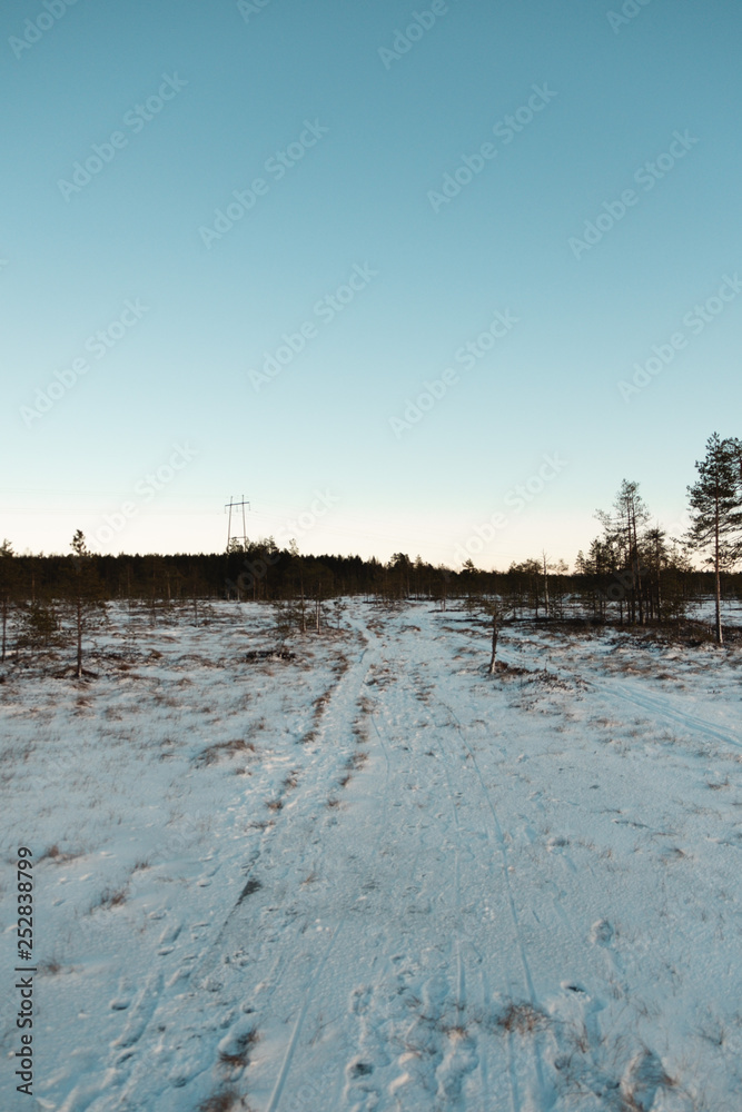 Beautiful Finnish Lapland frozen swamp landscape! Beautiful Finnish Lapland frozen swamp landscape!