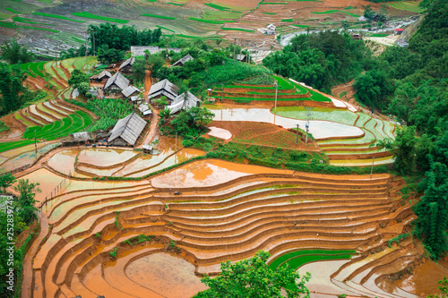 Agriculture Green Rice fields and rice terraced on mountain at SAPA, Lao Cai, Mu Cang Chai, Vietnam. The most of area is rice terraced. nature and landscape rice fields photo