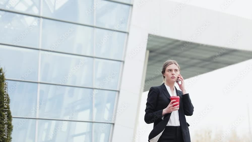 Pretty Young Businesswoman Pretty Young Businesswoman