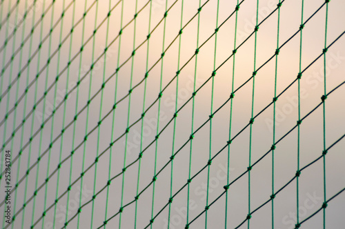 Green mesh with sky background