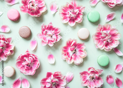 Blooming tulips and colorful macaron cakes on pastel green background.