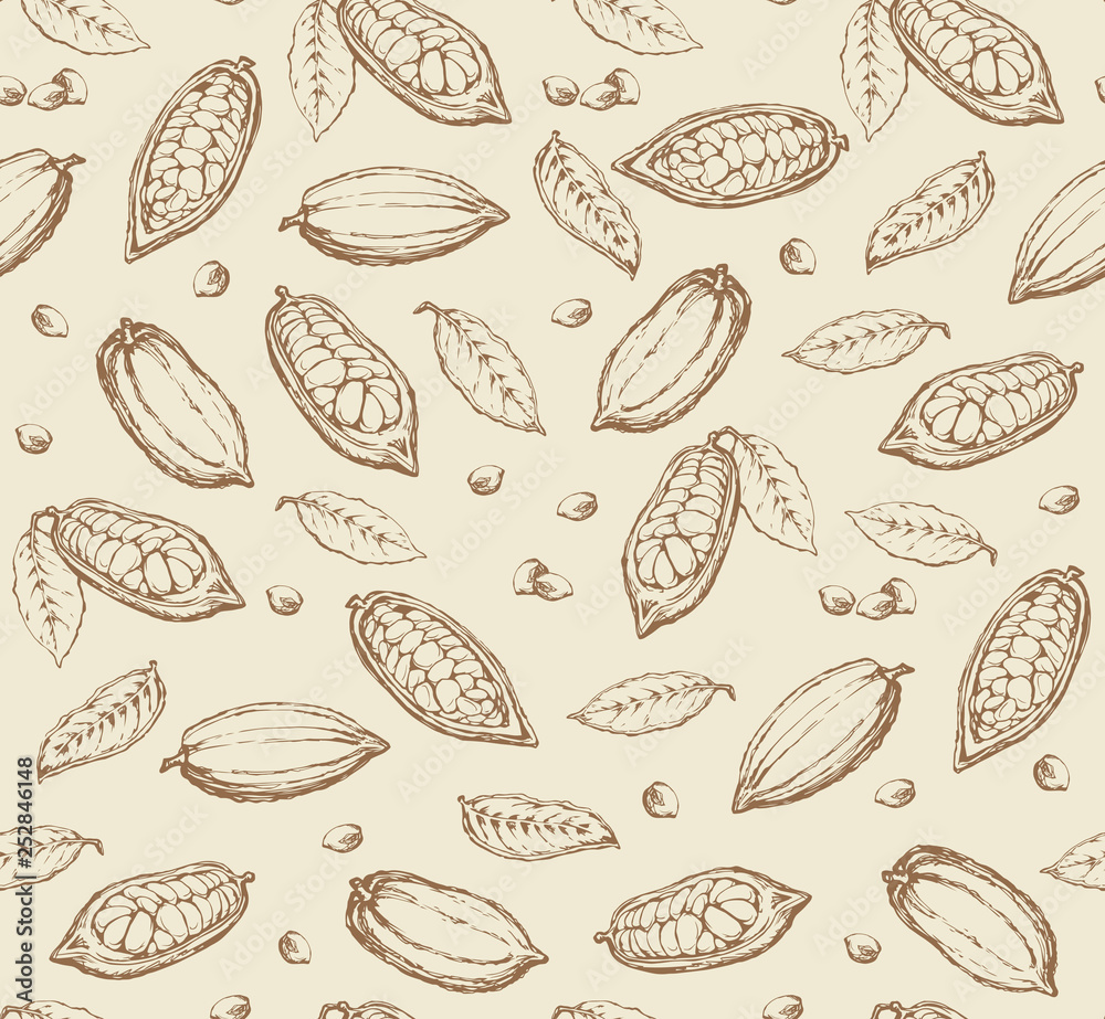 Cocoa Fruits. Vector drawing Cocoa Fruits. Vector drawing