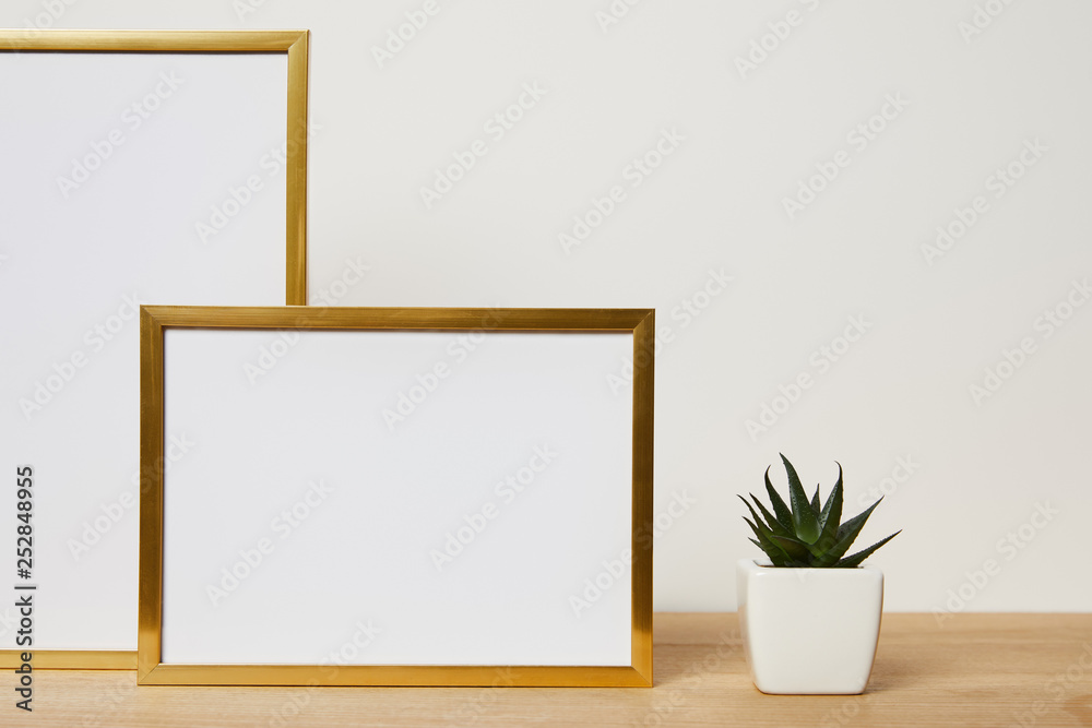 Blank frames near cactus on wooden table at home Blank frames near cactus on wooden table at home
