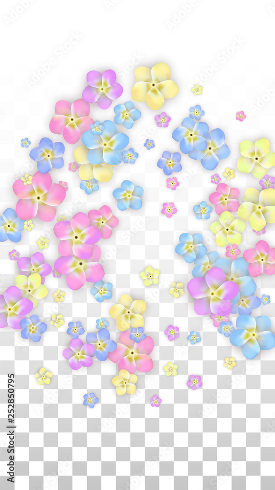 Colorful Vector Realistic Petals Falling on Transparent Background.  Spring Romantic Flowers Illustration. Flying Petals. Sakura Spa Design. Blossom Confetti. Design Elements for Wedding Decoration.