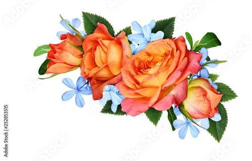 Orange roses and blue small flowers  in a corner floral arrangement