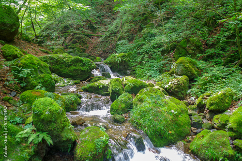 夏の山 © Taka