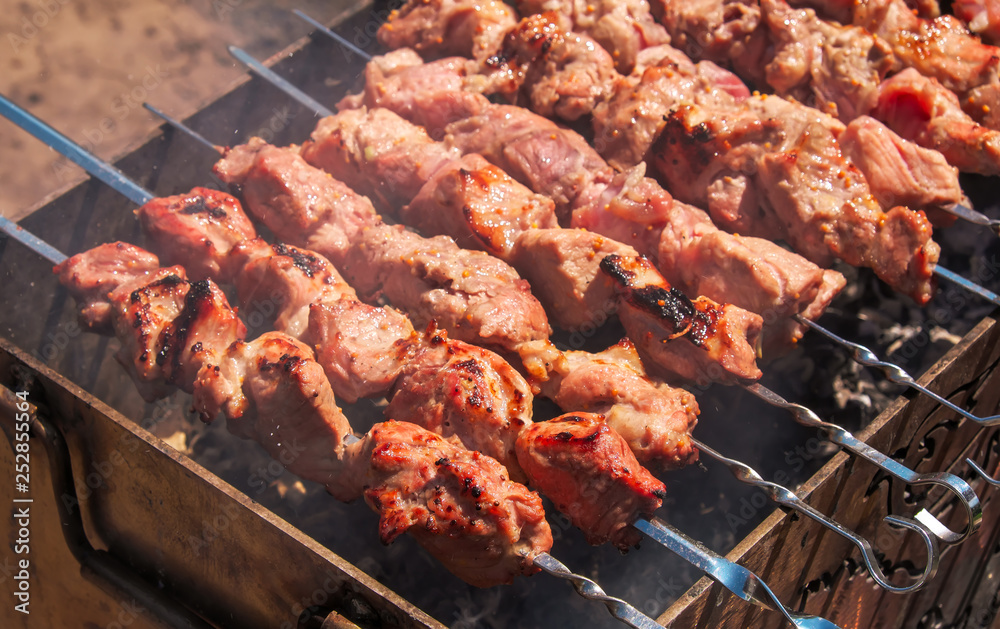 Shish kebab is baked over a fire with smoke. Camping and delicious food