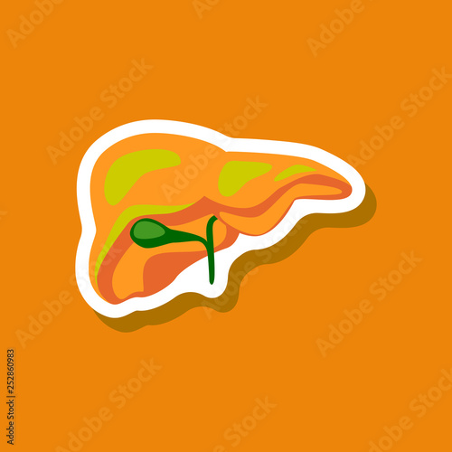 liver paper sticker on stylish background
