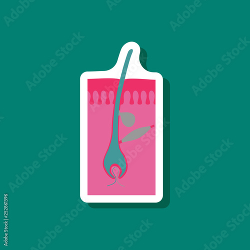paper sticker on stylish background hair follicles