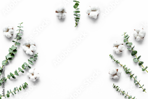 Flowers border with green eucalyptus branches and dry cotton flowers on white background top view copy space © 279photo
