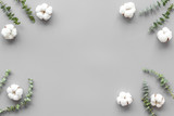 Flowers border with green eucalyptus branches and dry cotton flowers on grey background top view copy space