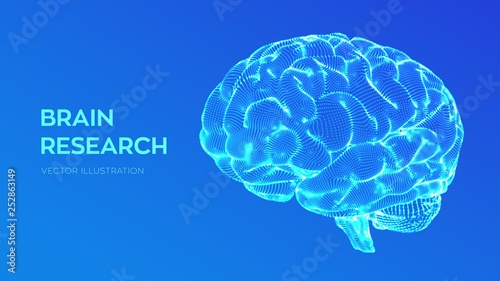 Brain. Human brain research. 3D Science and Technology concept. Neural network. IQ testing, artificial intelligence virtual emulation science technology. Brainstorm think idea. Vector illustration.