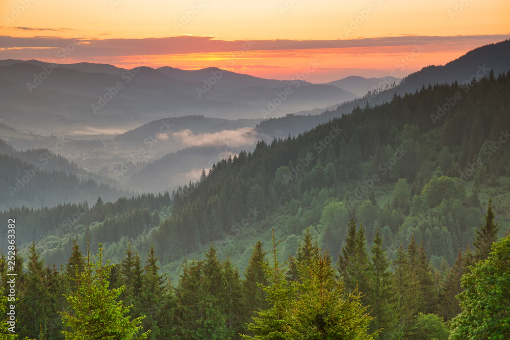 Beautiful sunrise in the mountains covered with woods