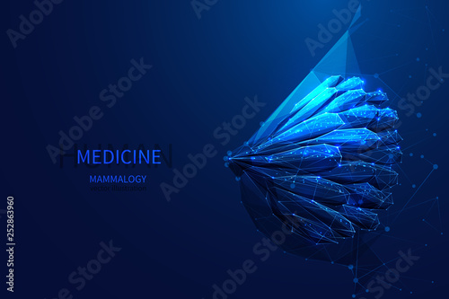 mammalogy low poly blue photo