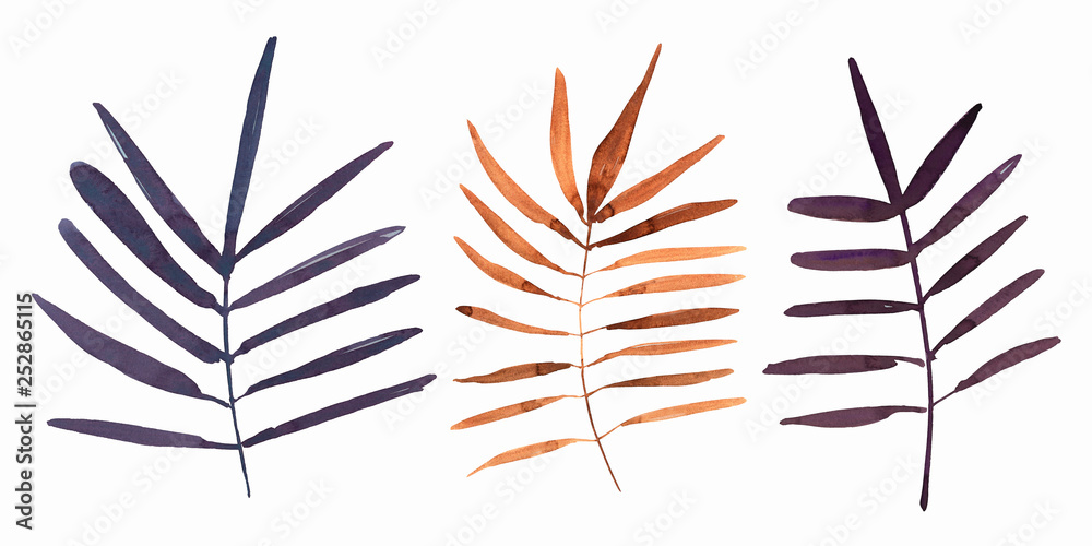 Set of leaves . Hand drawn illustration. For design, wedding, menu, decor, pattern and more.