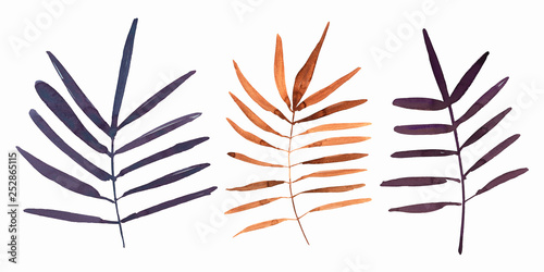 Set of leaves . Hand drawn illustration. For design, wedding, menu, decor, pattern and more.