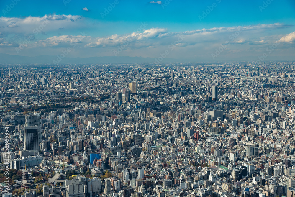 Tokyo high dense houses and buildings