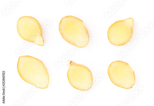 Set of fresh ginger root sliced on white background for herb and medical product concept
