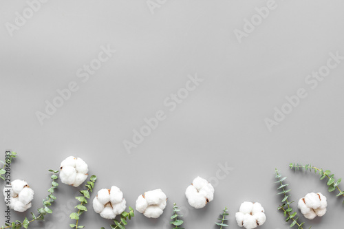 Flowers and leaves layout. Cotton flowers near eucalyptus branches on grey background top view, flat lay copy space