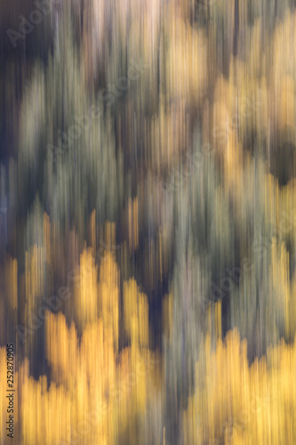 Fall Color Abstract