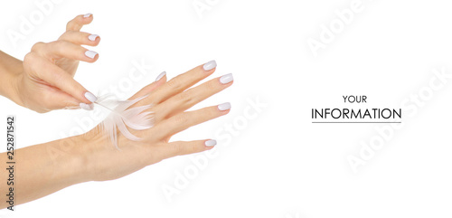 White feather in the female hand beauty care skin pattern on a white background isolation
