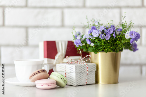 Gift boxes and flowers on white wall background